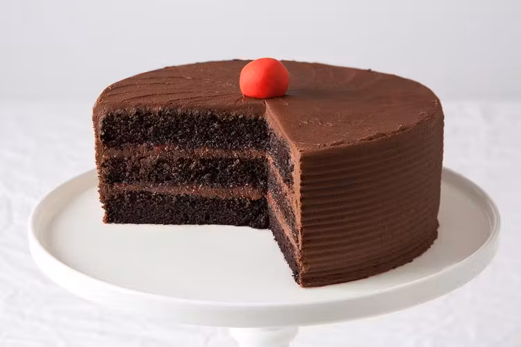 a piece of chocolate cake on a plate